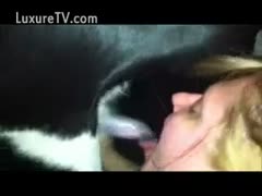 Horny Married slut gives enthusiastic oral to her dog and swallows each drop 